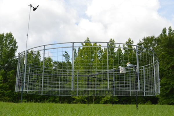 NEW Suspended Hog Trap - 'The Closer'